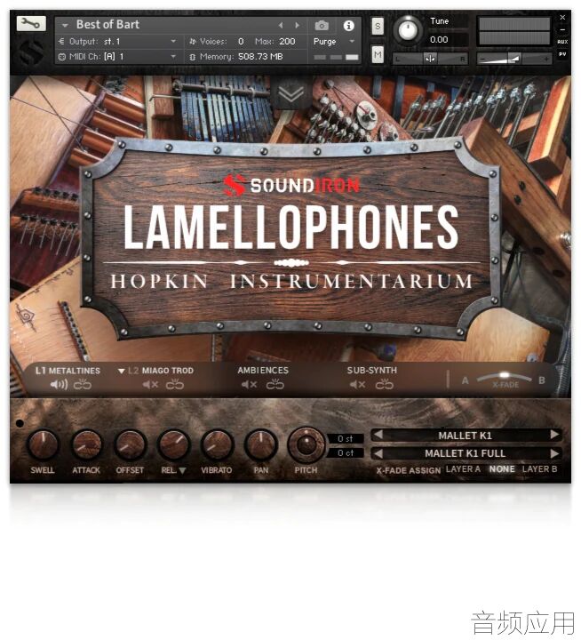 lamellophones.webp.jpg