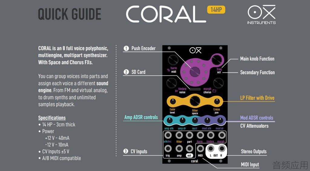 oxi-coral-guide-1024x565.jpg