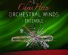 Chris Hein Orchestral Winds Ensemble管弦乐木管音色